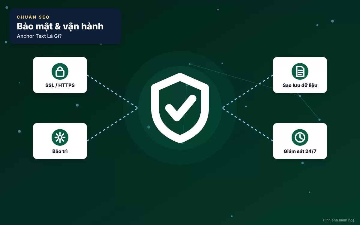 Sơ đồ hình tròn biểu diễn tỷ lệ vàng phân bổ các dạng Anchor Text an toàn chống phạt thuật toán